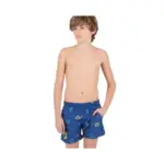 Boxer Junior